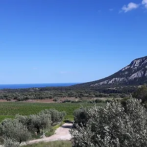 Farm stay Su Barcu